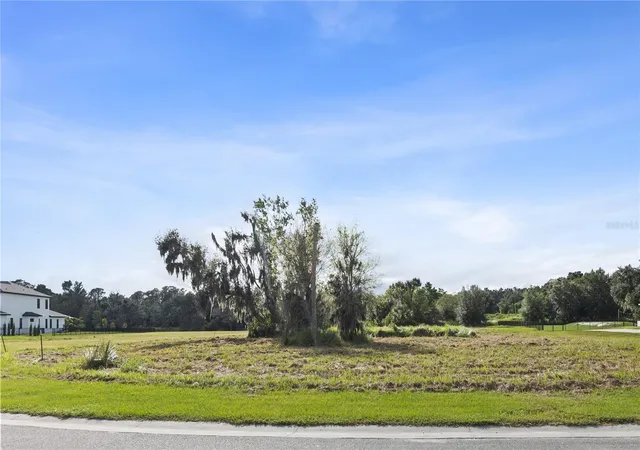 3rd image of 15323 Fishhawk Heights Run, Lithia, FL 33547 | MLS# TB8443102