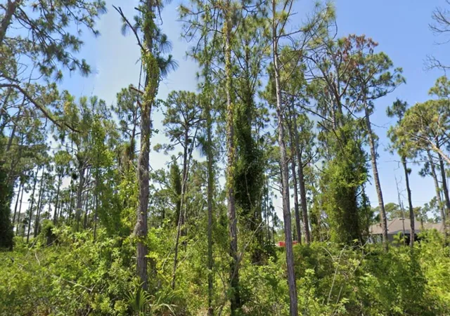 Photo 1 of Land for sale at 14209 Naylor Ave, Port Charlotte, FL 33981 | MLS# N6141221 | Listing updated on 2026-08-03