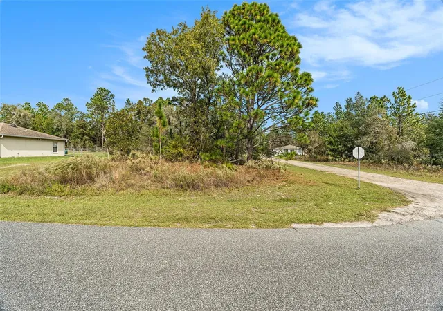 Photo 3 of Land for sale at 1541 W Riley Dr, Dunnellon, FL 34434 | MLS# TB8443584 | Listing updated on 2026-10-07