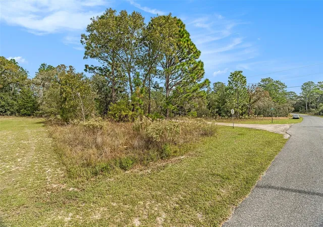 Photo 4 of Land for sale at 1541 W Riley Dr, Dunnellon, FL 34434 | MLS# TB8443584 | Listing updated on 2026-10-07