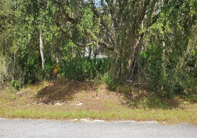 Photo 1 of Land for sale at 1227 Alafia Way, Kissimmee, FL 34759 | MLS# S5137694 | Listing updated on 2026-10-20