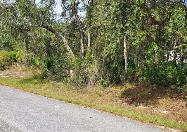 Photo 3 of Land for sale at 1227 Alafia Way, Kissimmee, FL 34759 | MLS# S5137694 | Listing updated on 2026-10-20