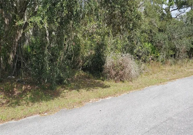 Photo 3 of Land for sale at 1227 Alafia Way, Kissimmee, FL 34759 | MLS# S5137694 | Listing updated on 2026-10-20