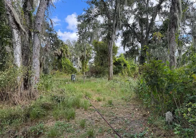 3rd image of 3721 Porter Rd, Lithia, FL 33547 | MLS# TB8443713