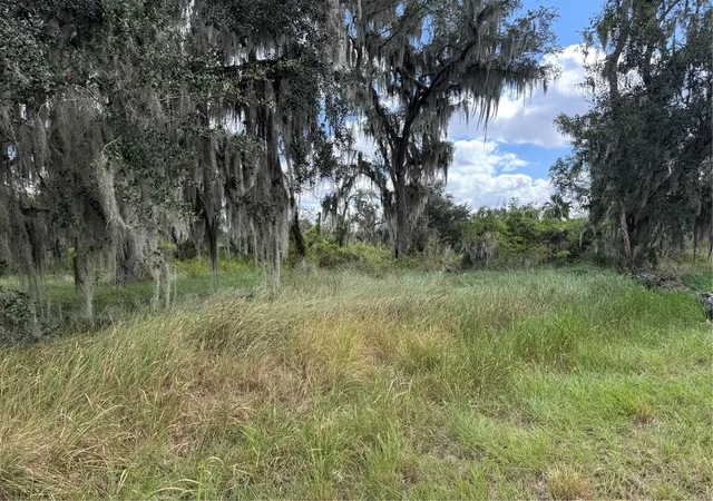 4th image of 3721 Porter Rd, Lithia, FL 33547 | MLS# TB8443713