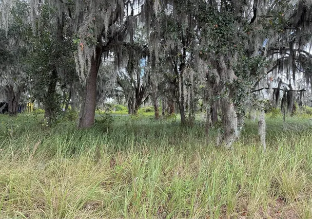 5th image of 3721 Porter Rd, Lithia, FL 33547 | MLS# TB8443713