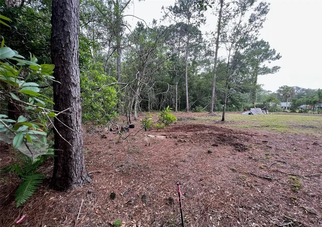 Photo 4 of Land for sale at 12955 Rio Vista Ave, New Port Richey, FL 34654 | MLS# C7517116 | Listing updated on 2026-05-12