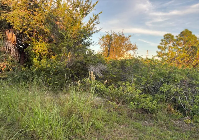 Photo 4 of Land for sale at 14251 Ingraham Blvd, Port Charlotte, FL 33981 | MLS# A4670658 | Listing updated on 2026-08-03