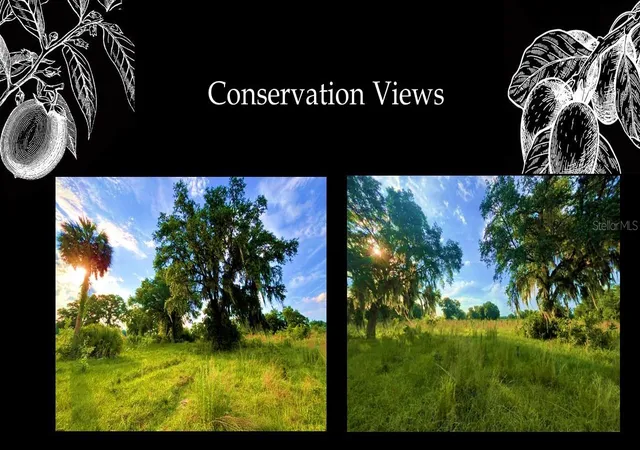 4th image of 5562 Sw 125Th Cir, Archer, FL 32618 | MLS# GC535173