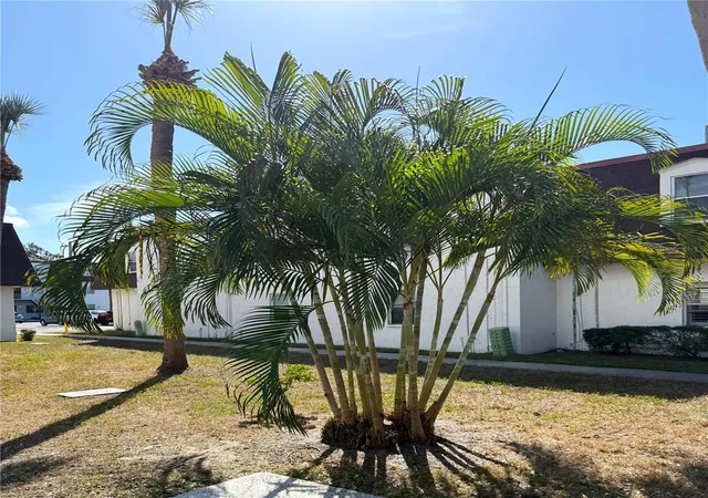 5th image of 9002 Tudor Dr #K201, Tampa, FL 33615 | MLS# O6357756