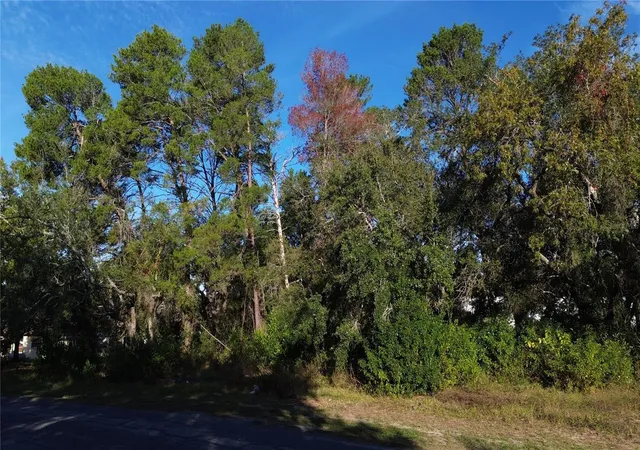 2nd image of 7939 Rhanbuoy Rd, Spring Hill, FL 34606 | MLS# TB8444653