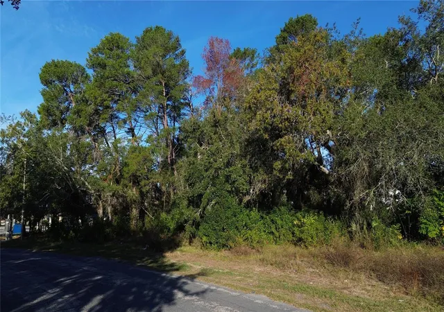 3rd image of 7939 Rhanbuoy Rd, Spring Hill, FL 34606 | MLS# TB8444653