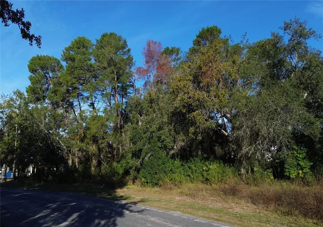 4th image of 7939 Rhanbuoy Rd, Spring Hill, FL 34606 | MLS# TB8444653