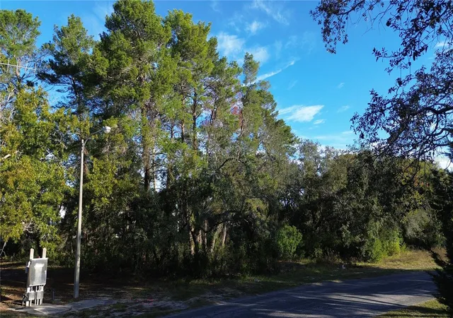 5th image of 7939 Rhanbuoy Rd, Spring Hill, FL 34606 | MLS# TB8444653