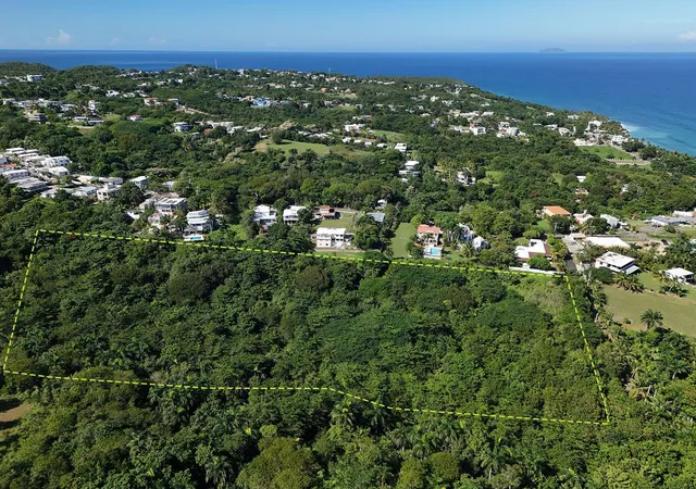 Photo 1 of Land for sale at Calle Las Palmas, Rincon, PR 00677 | MLS# PR9117159 | Listing updated on 2026-06-21