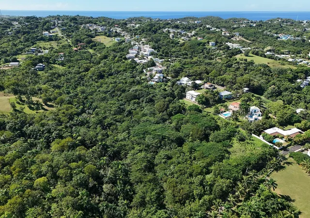 Photo 4 of Land for sale at Calle Las Palmas, Rincon, PR 00677 | MLS# PR9117159 | Listing updated on 2026-06-21