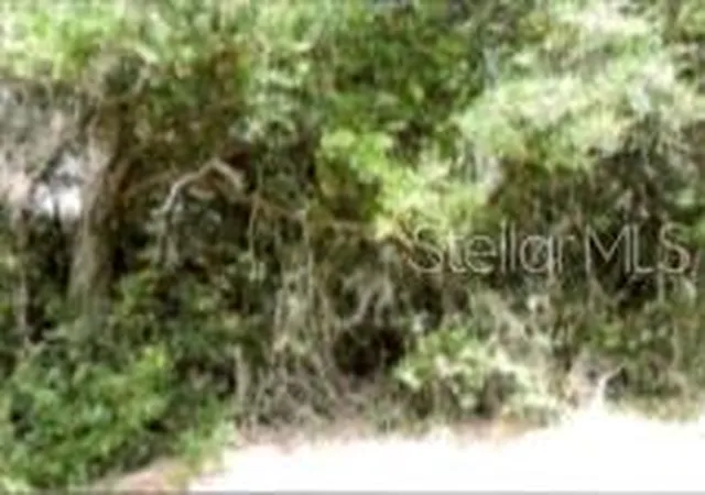4th image of 12325 & 12303 Stagg Rd, Winter Garden, FL 34787 | MLS# O6358096