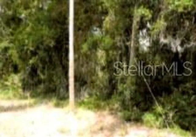 5th image of 12325 & 12303 Stagg Rd, Winter Garden, FL 34787 | MLS# O6358096