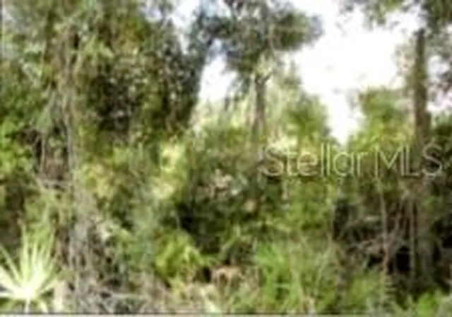 7th image of 12325 & 12303 Stagg Rd, Winter Garden, FL 34787 | MLS# O6358096