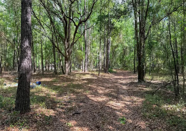 Homes for sale in Archer, FL | 7922 Sw County Road 346, Archer, FL 32618 | MLS# GC535247