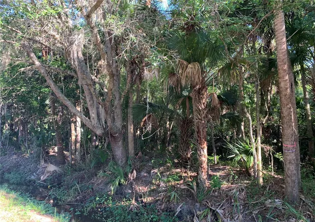 5th image of 1310 Palm Way, Sanford, FL 32773 | MLS# O6358219