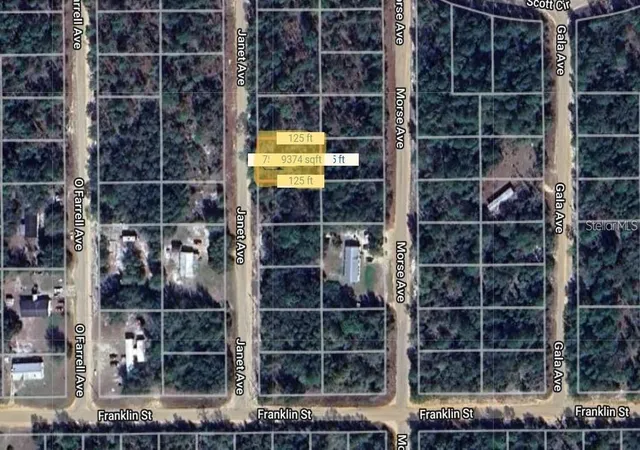 Photo 1 of Land for sale at 0 Janet Ave, Interlachen, FL 32148 | MLS# O6358255 | Listing updated on 2025-11-07