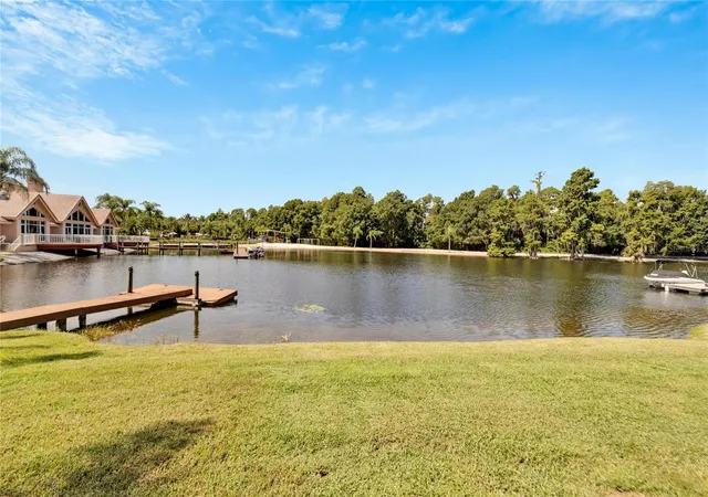 4th image of 17904 Cachet Isle Dr, Tampa, FL 33647 | MLS# TB8445196