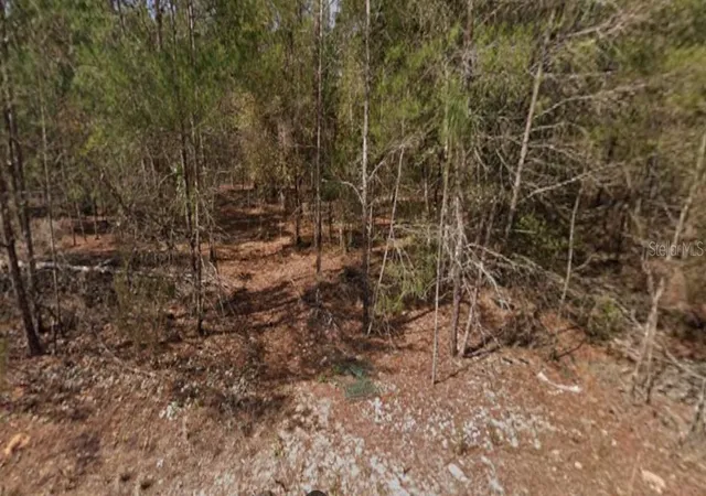 Photo 1 of Land for sale at Southeast 5th Ave, Interlachen, FL 32148 | MLS# O6358285 | Listing updated on 2025-11-07