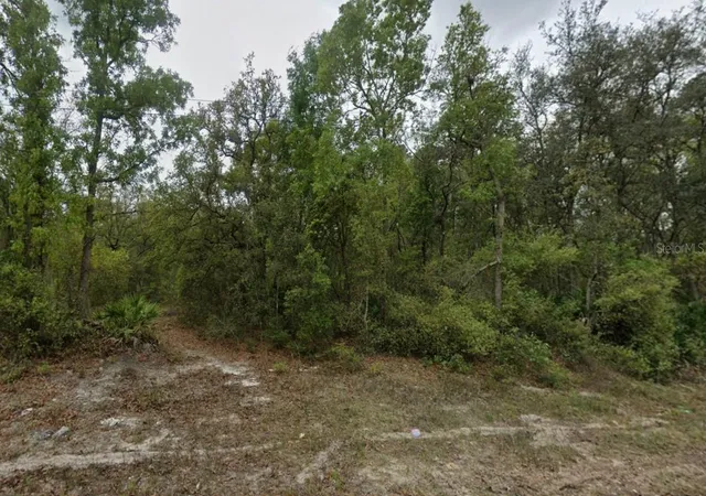 Photo 1 of Land for sale at Highline Trl, Satsuma, FL 32189 | MLS# O6358358 | Listing updated on 2025-11-07