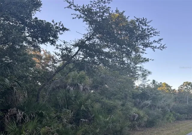 Photo 1 of Land for sale at 23391 Buckner Ave, Port Charlotte, FL 33980 | MLS# D6144638 | Listing updated on 2025-11-17