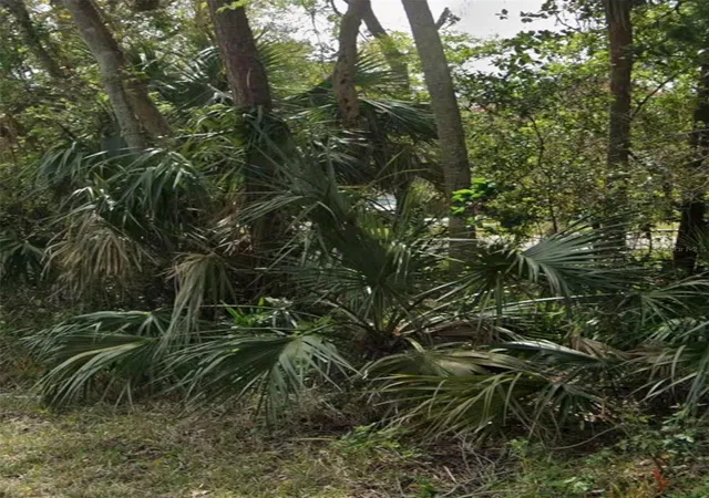 Photo 3 of Land for sale at 960 Mcdonald, Port Orange, FL 32129 | MLS# NS1086495 | Listing updated on 2026-08-26