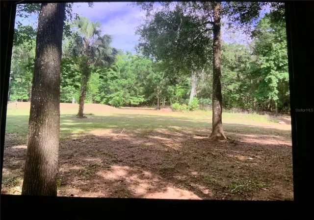 3rd image of 13080 Nw 168Th Pl, Reddick, FL 32686 | MLS# OM713151
