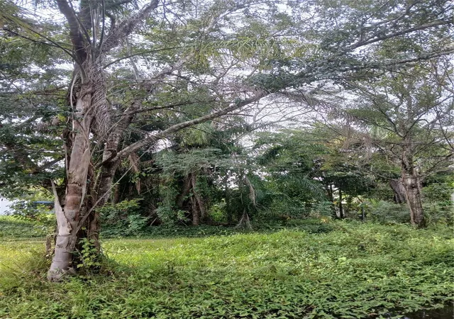 Photo 3 of Land for sale at 18565 N 16th Avenue E, Orlando, FL 32833 | MLS# O6359074 | Listing updated on 2026-06-18