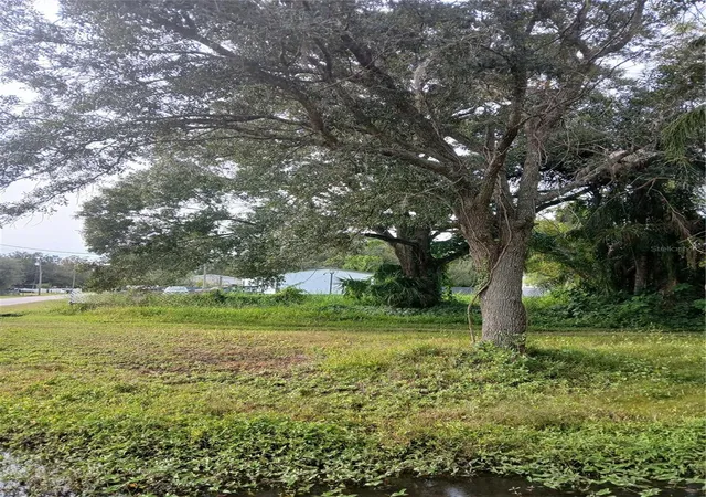 Photo 4 of Land for sale at 18565 N 16th Avenue E, Orlando, FL 32833 | MLS# O6359074 | Listing updated on 2026-06-18