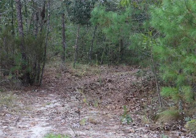 Photo 2 of Land for sale at 9478 N Timber Crk Ter, Dunnellon, FL 34433 | MLS# OM713177 | Listing updated on 2026-08-19