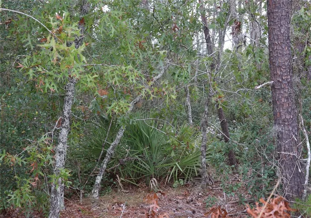 Photo 3 of Land for sale at 9478 N Timber Crk Ter, Dunnellon, FL 34433 | MLS# OM713177 | Listing updated on 2026-08-19