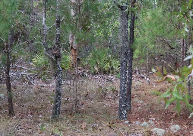 Photo 3 of Land for sale at 9478 N Timber Crk Ter, Dunnellon, FL 34433 | MLS# OM713177 | Listing updated on 2026-08-19