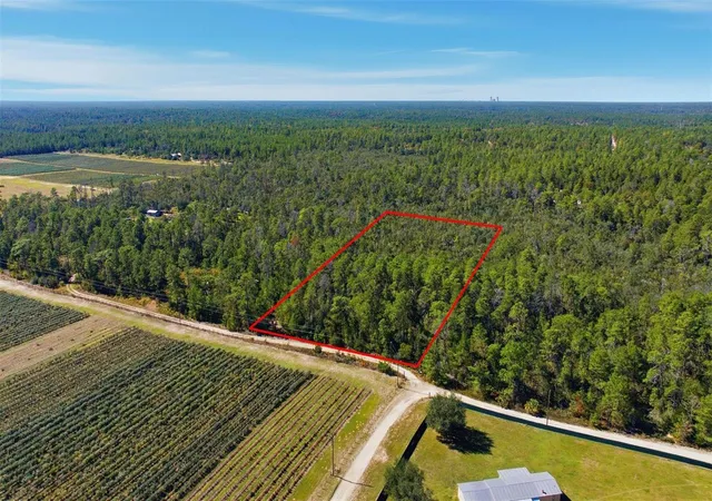 Photo 1 of Land for sale at 9478 N Timber Crk Ter, Dunnellon, FL 34433 | MLS# OM713177 | Listing updated on 2026-08-19