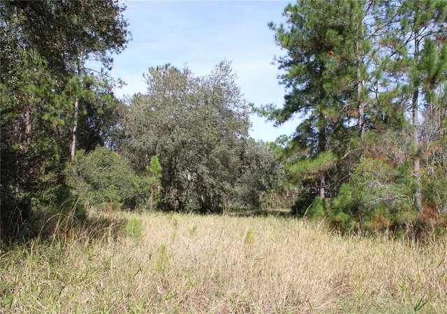 Photo 1 of Land for sale at Duboise Dr, Clermont, FL 34714 | MLS# S5138235 | Listing updated on 2026-09-16