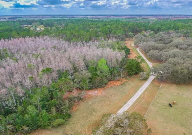 Photo 3 of Land for sale at Duboise Dr, Clermont, FL 34714 | MLS# S5138235 | Listing updated on 2026-09-16
