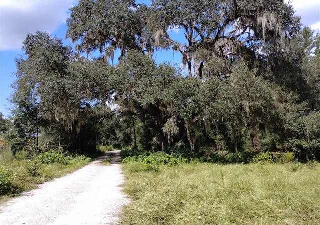 3rd image of 1826 Se 44Th Pl, Bushnell, FL 33513 | MLS# W7880602