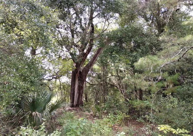 4th image of 1826 Se 44Th Pl, Bushnell, FL 33513 | MLS# W7880602