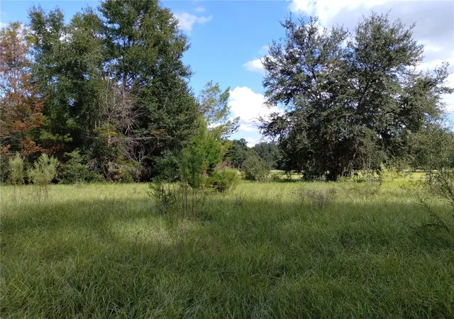 5th image of 1826 Se 44Th Pl, Bushnell, FL 33513 | MLS# W7880602