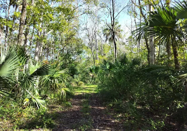 Photo 2 of Land for sale at 10008 W Pennsylvania St, Homosassa, FL 34448 | MLS# TB8446563 | Listing updated on 2026-05-28