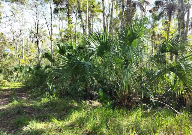 Photo 3 of Land for sale at 10008 W Pennsylvania St, Homosassa, FL 34448 | MLS# TB8446563 | Listing updated on 2026-05-28