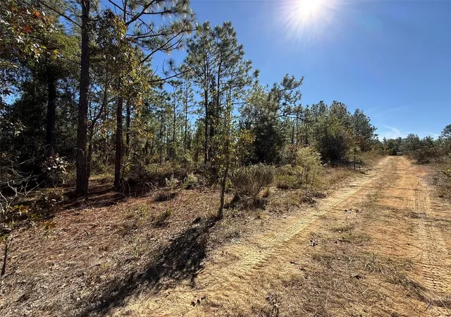 Photo 3 of Land for sale at 00 Monroe, Hawthorne, FL 32640 | MLS# FC314034 | Listing updated on 2026-10-14