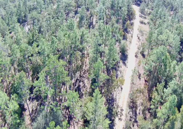 Photo 3 of Land for sale at 00 Monroe, Hawthorne, FL 32640 | MLS# FC314034 | Listing updated on 2026-10-14