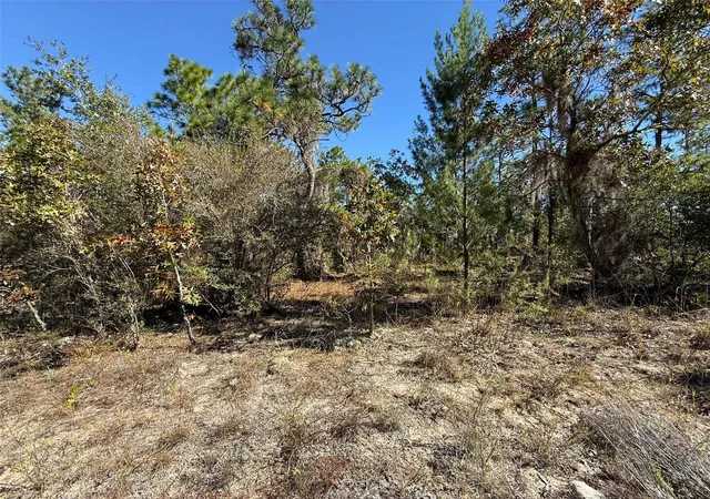 Photo 4 of Land for sale at 00 Monroe, Hawthorne, FL 32640 | MLS# FC314034 | Listing updated on 2026-10-14
