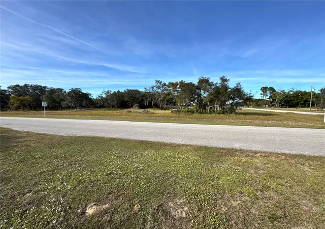 3rd image of Fast Trot Trl, Lake Wales, FL 33898 | MLS# S5138409