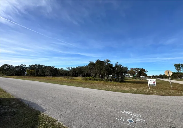 5th image of Fast Trot Trl, Lake Wales, FL 33898 | MLS# S5138409